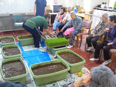 園芸療法(田植え)